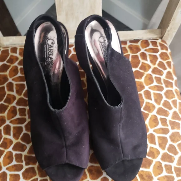 Carlos - Picture 7 of 11